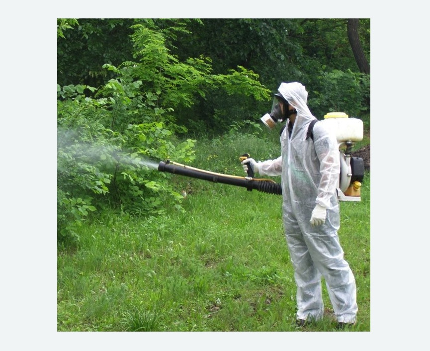 обработка территории от клещей в Байкальске