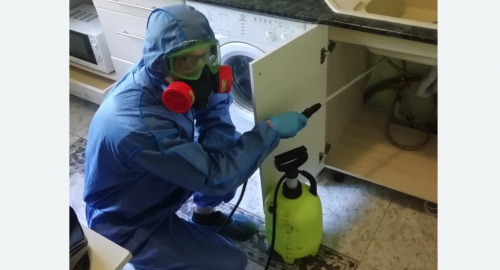 Уничтожение муравьев в квартире. Байкальск