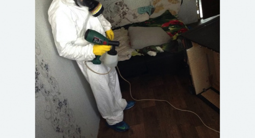 Обработка квартир от насекомых в Байкальске