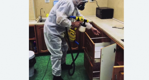 Дезинсекция квартиры. Байкальск