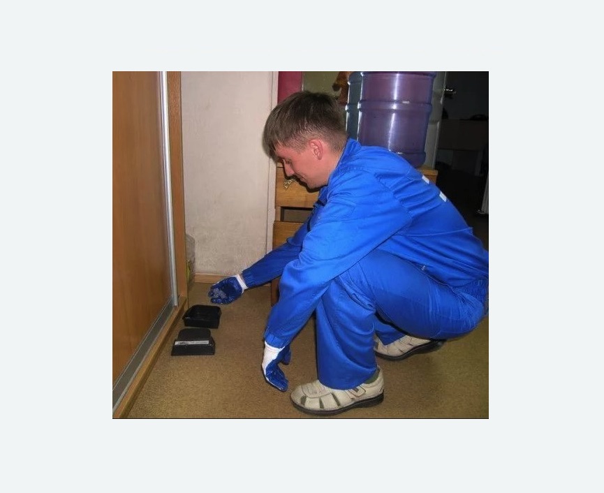 Дератизация крыс в Байкальске