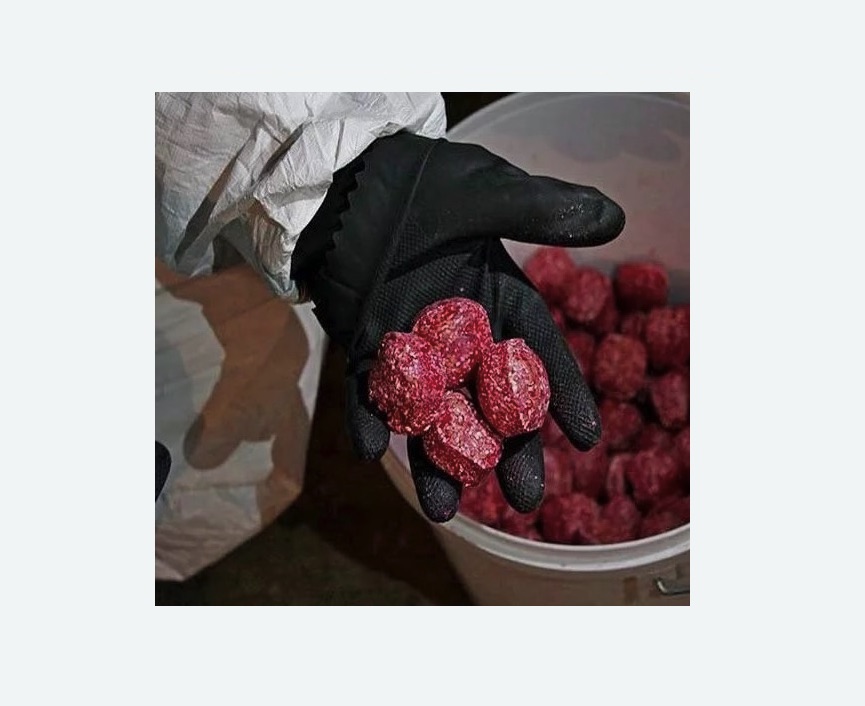 Обработка от крыс в Байкальске