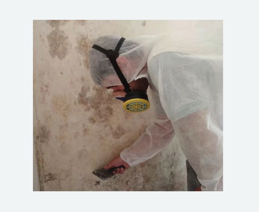 Обработка стен от плесени в Байкальске
