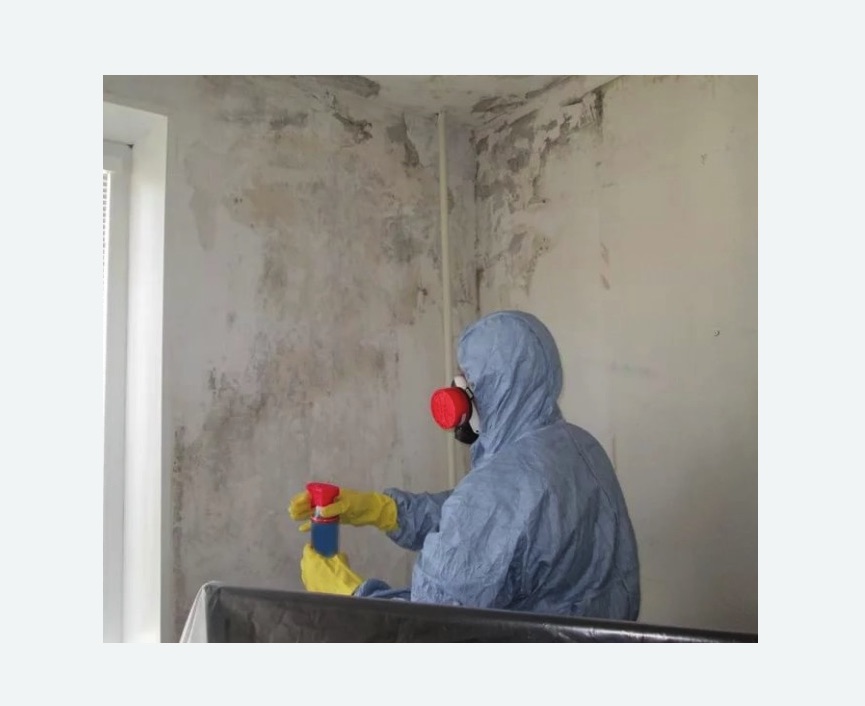 Удаление плесени в квартире в Байкальске