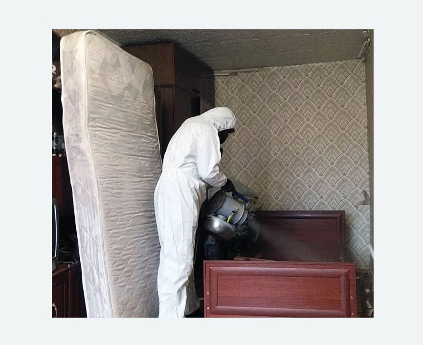 дезинфекция от клопов в Байкальске