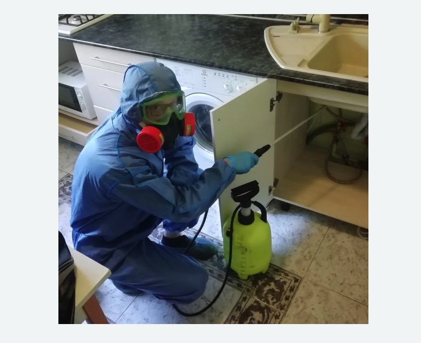 обработка от муравьев в квартире в Байкальске