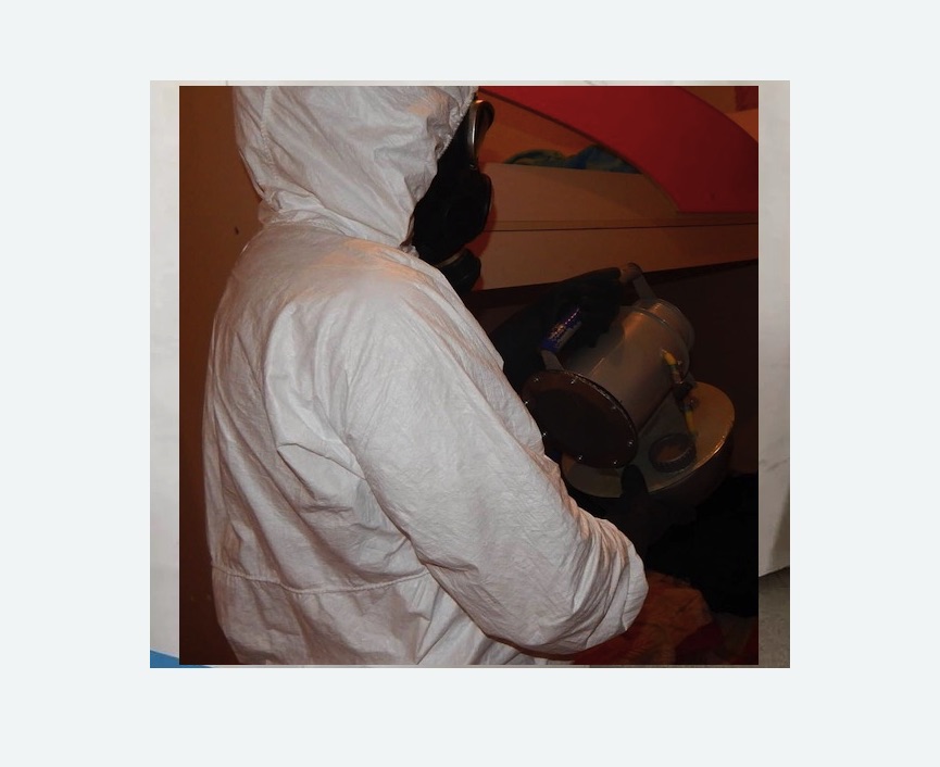 Дезинфекция от муравьев в Байкальске